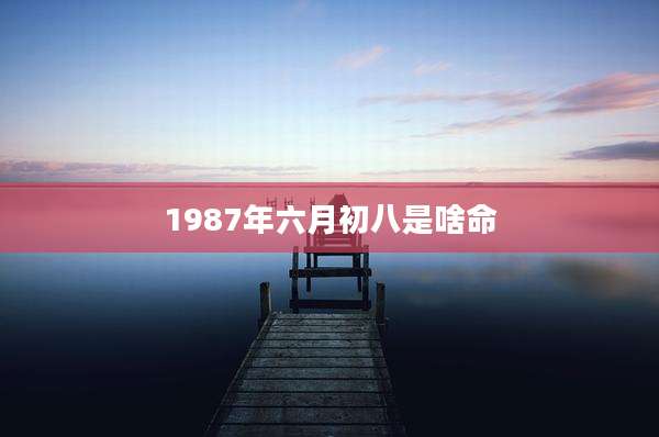 1987年六月初八是啥命