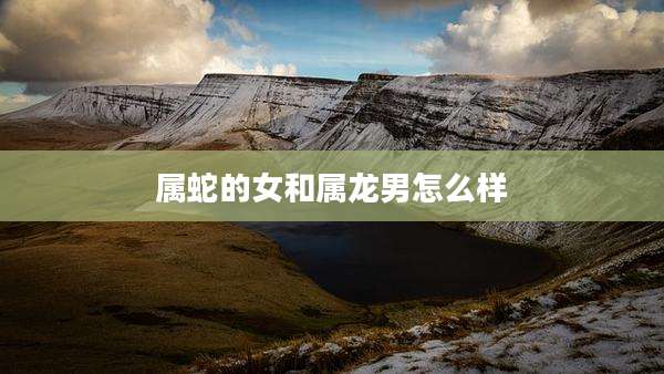 属蛇的女和属龙男怎么样
