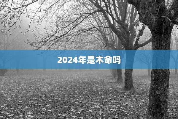 2024年是木命吗