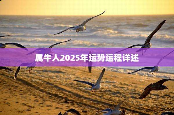 属牛人2025年运势运程详述