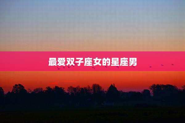 最爱双子座女的星座男