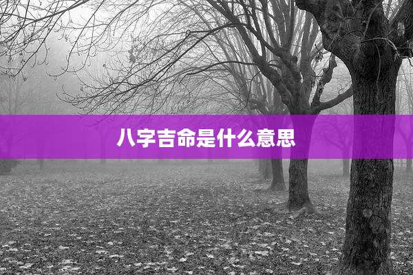 八字吉命是什么意思