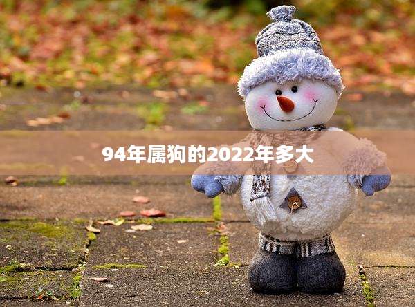 94年属狗的2022年多大