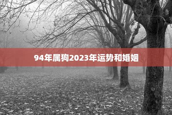 94年属狗2023年运势和婚姻