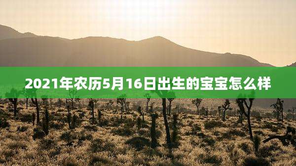 2021年农历5月16日出生的宝宝怎么样