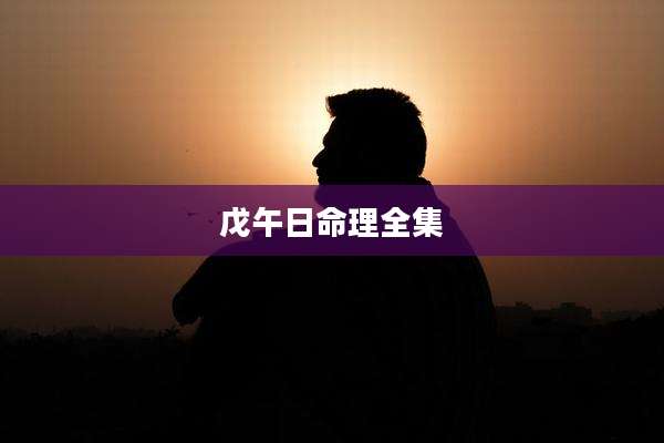 戊午日命理全集