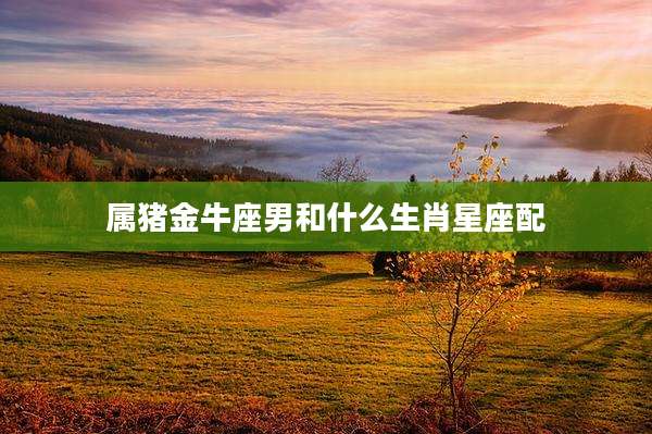 属猪金牛座男和什么生肖星座配