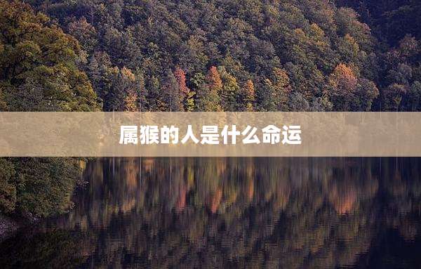 属猴的人是什么命运