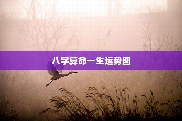 八字算命一生运势图