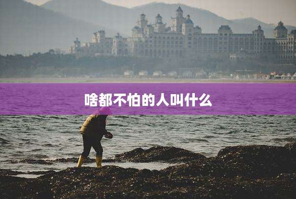 啥都不怕的人叫什么