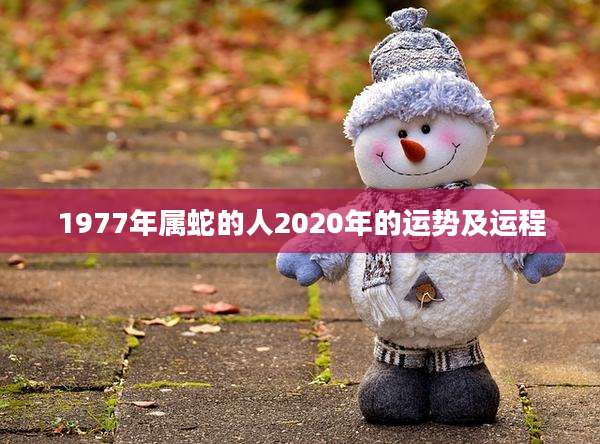 1977年属蛇的人2020年的运势及运程
