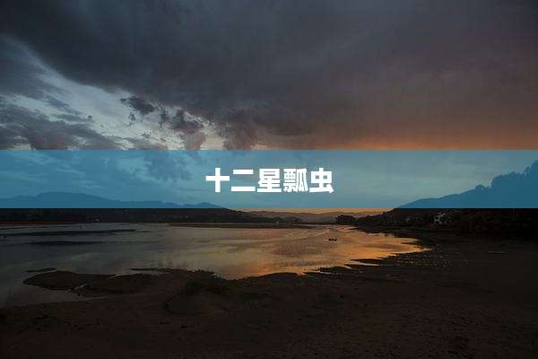 十二星瓢虫