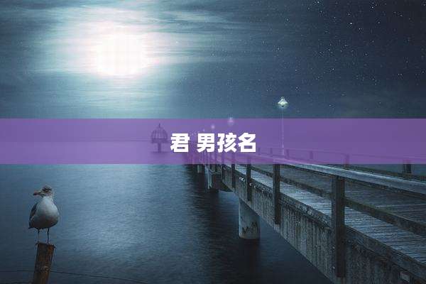 君 男孩名