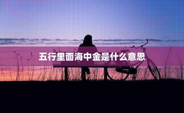 五行里面海中金是什么意思