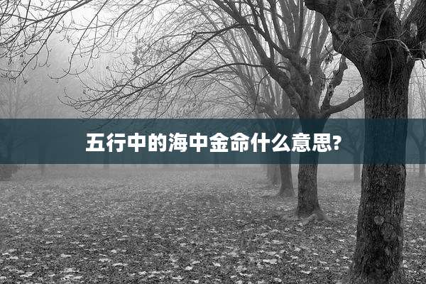 五行中的海中金命什么意思?