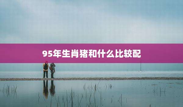 95年生肖猪和什么比较配