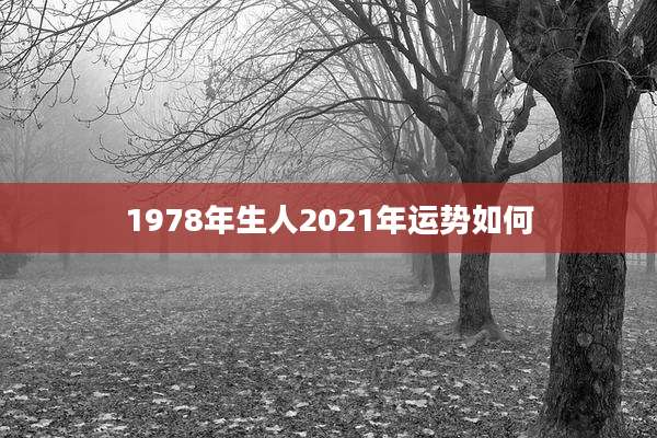 1978年生人2021年运势如何