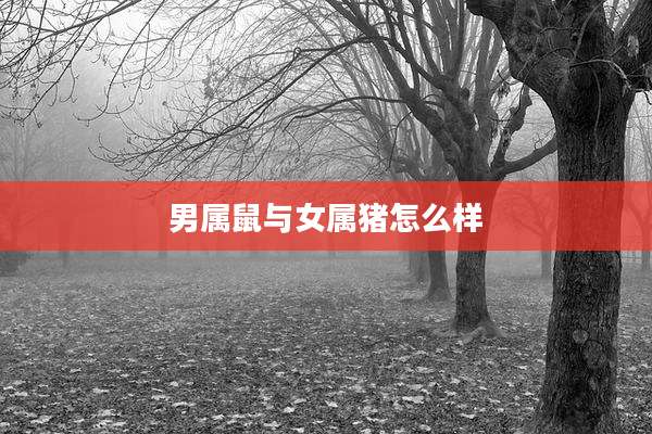 男属鼠与女属猪怎么样