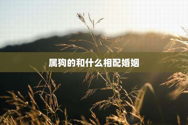 属狗的和什么相配婚姻