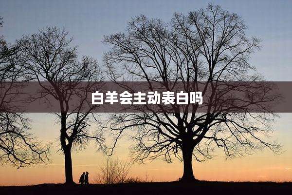 白羊会主动表白吗