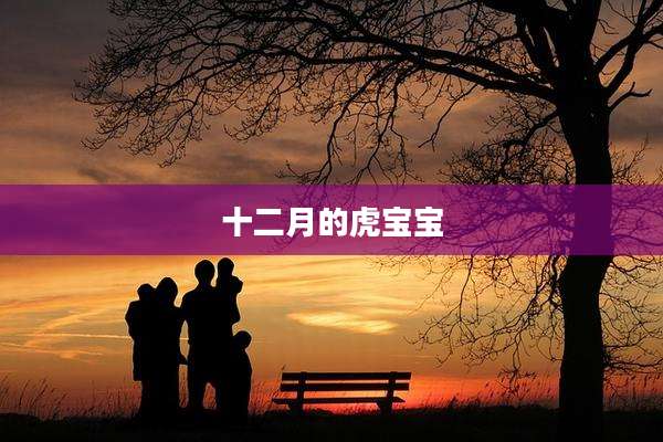十二月的虎宝宝