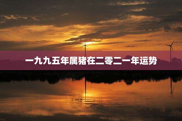 一九九五年属猪在二零二一年运势