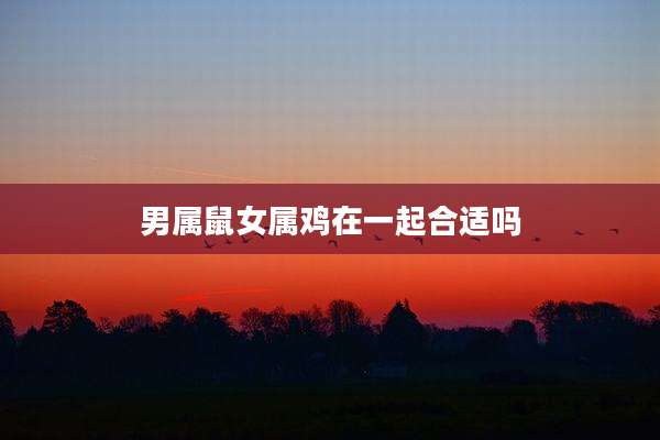 男属鼠女属鸡在一起合适吗