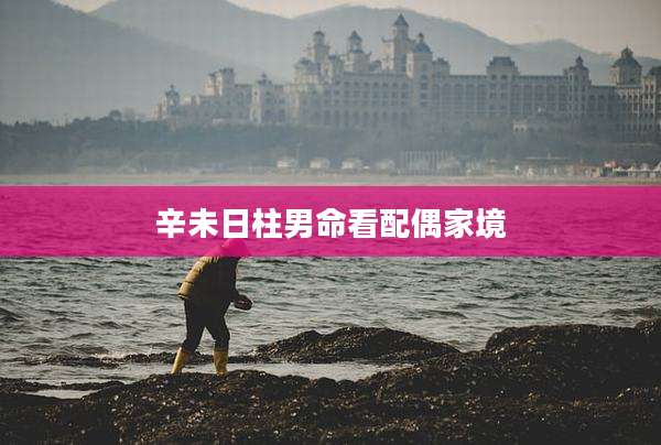 辛未日柱男命看配偶家境