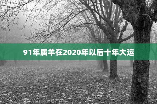 91年属羊在2020年以后十年大运