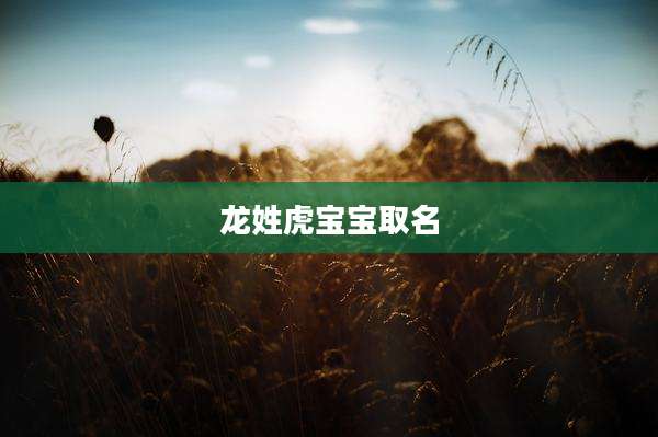 龙姓虎宝宝取名