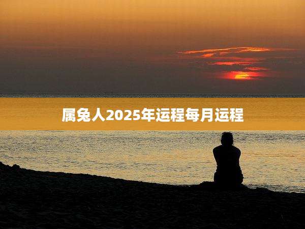 属兔人2025年运程每月运程