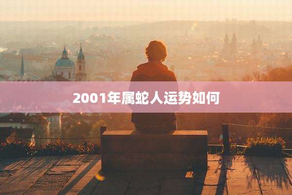 2001年属蛇人运势如何