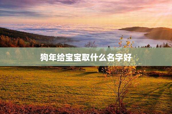 狗年给宝宝取什么名字好