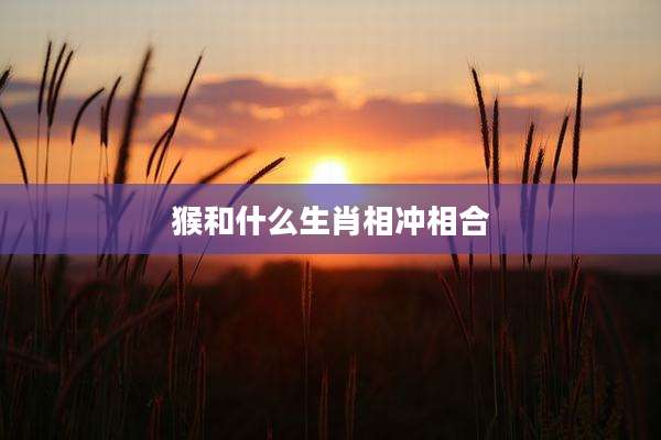 猴和什么生肖相冲相合