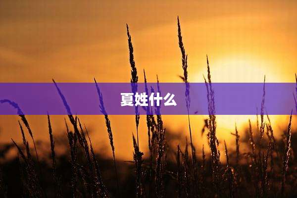 夏姓什么