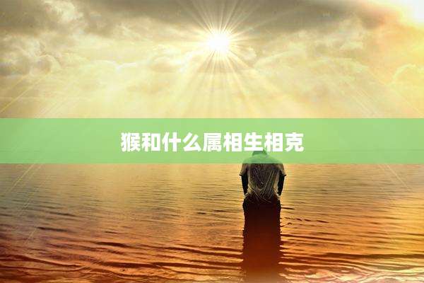 猴和什么属相生相克