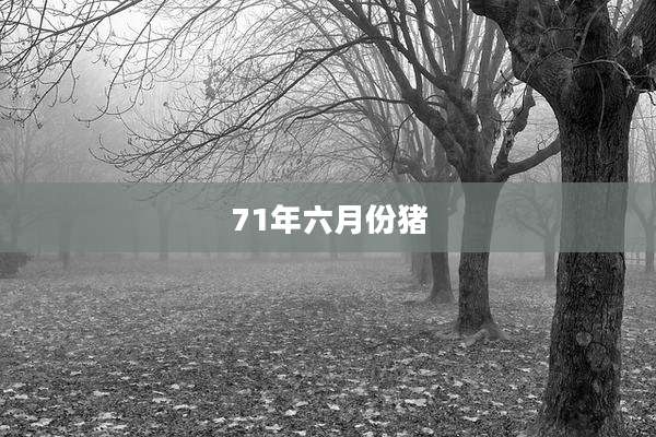 71年六月份猪