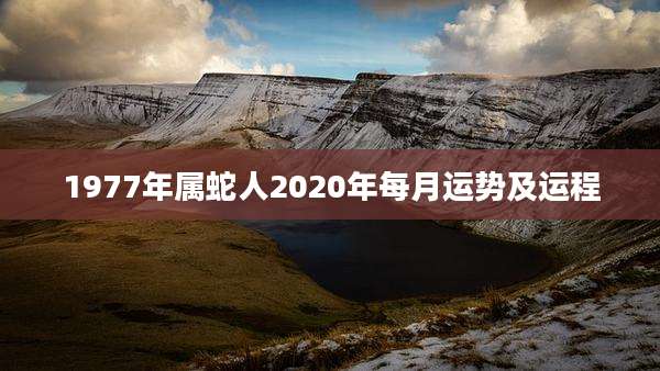 1977年属蛇人2020年每月运势及运程