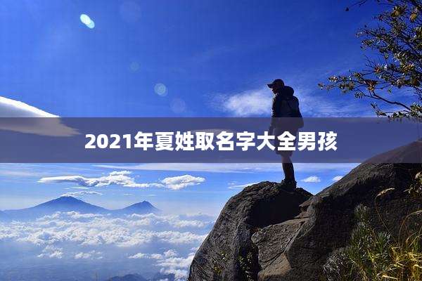 2021年夏姓取名字大全男孩