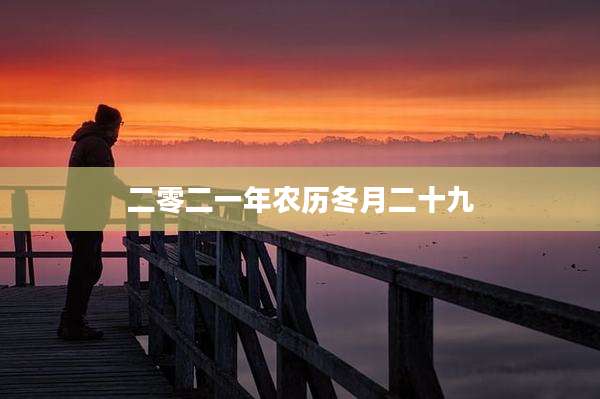 二零二一年农历冬月二十九