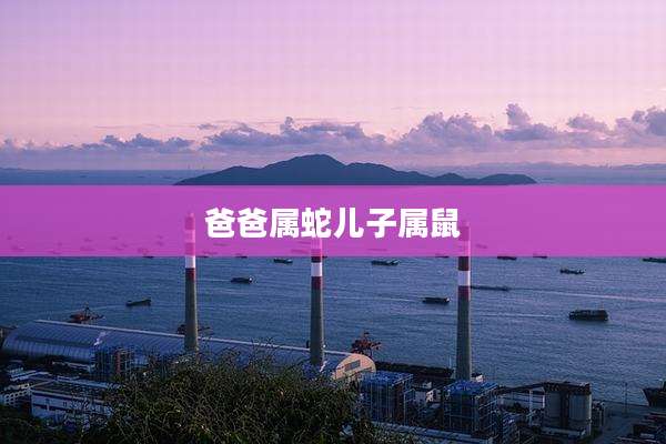 爸爸属蛇儿子属鼠