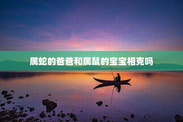 属蛇的爸爸和属鼠的宝宝相克吗