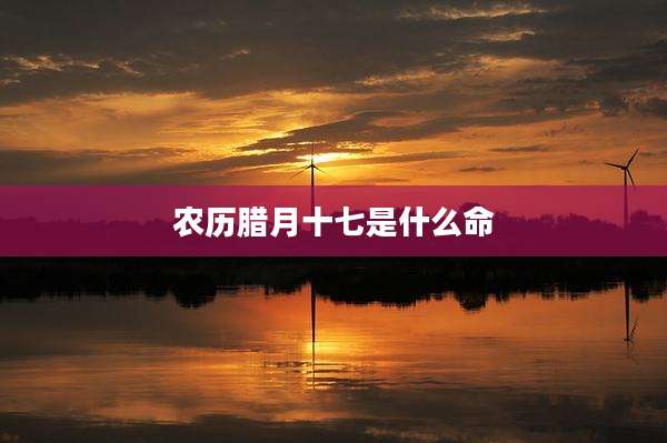 农历腊月十七是什么命