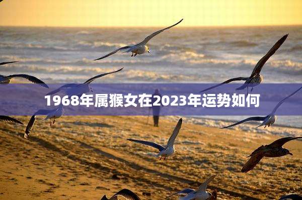1968年属猴女在2023年运势如何