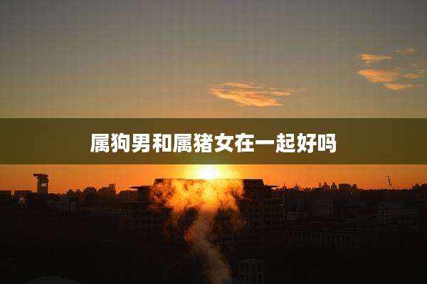 属狗男和属猪女在一起好吗