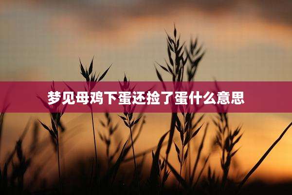 梦见母鸡下蛋还捡了蛋什么意思