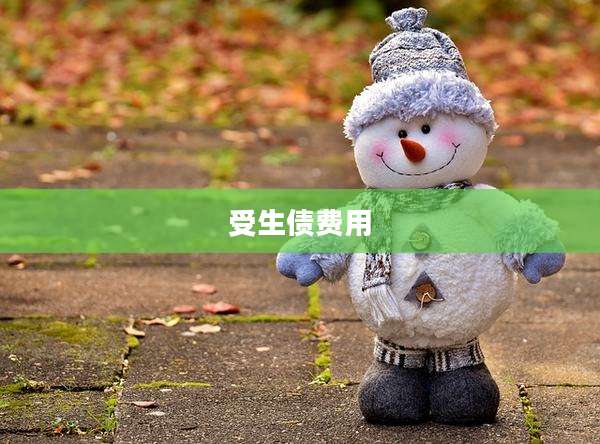 受生债费用