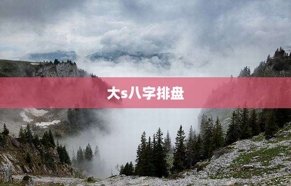 大s八字排盘