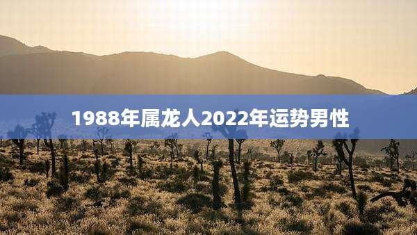 1988年属龙人2022年运势男性