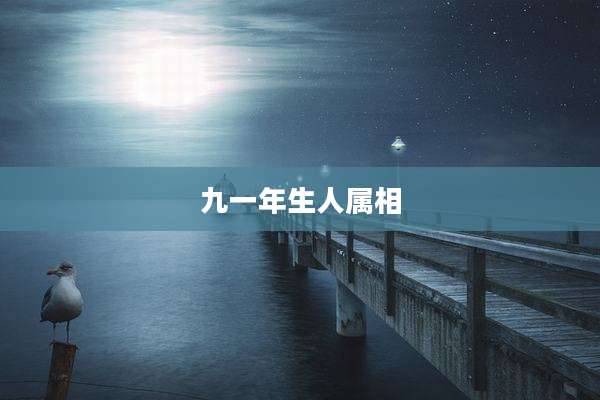 九一年生人属相